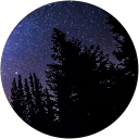 Isidora Q. profile picture