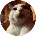 Foto de perfil de matilda R.