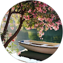 Foto de perfil de Jocelyn H.